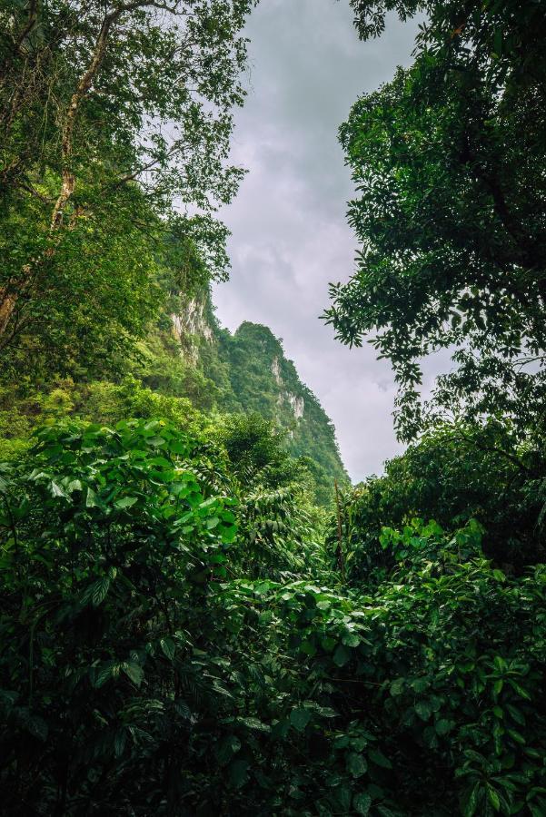 Our Jungle House Hotel Khao Sok National Park Exterior foto