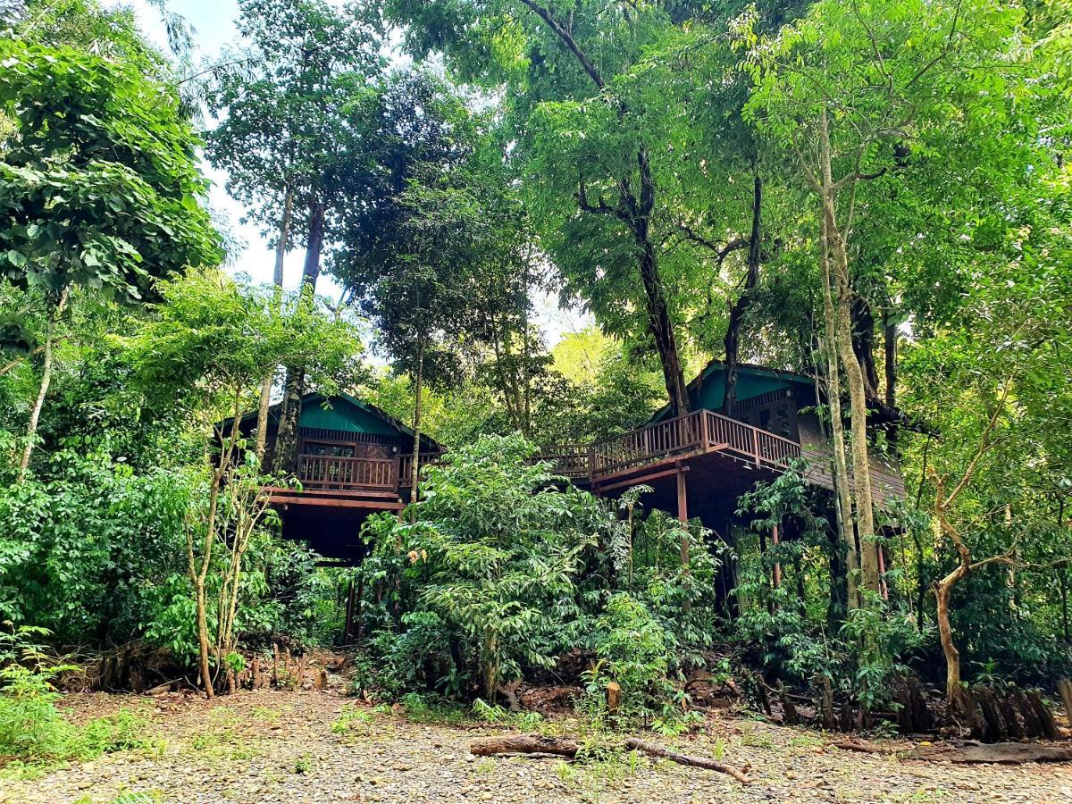 Our Jungle House Hotel Khao Sok National Park Exterior foto