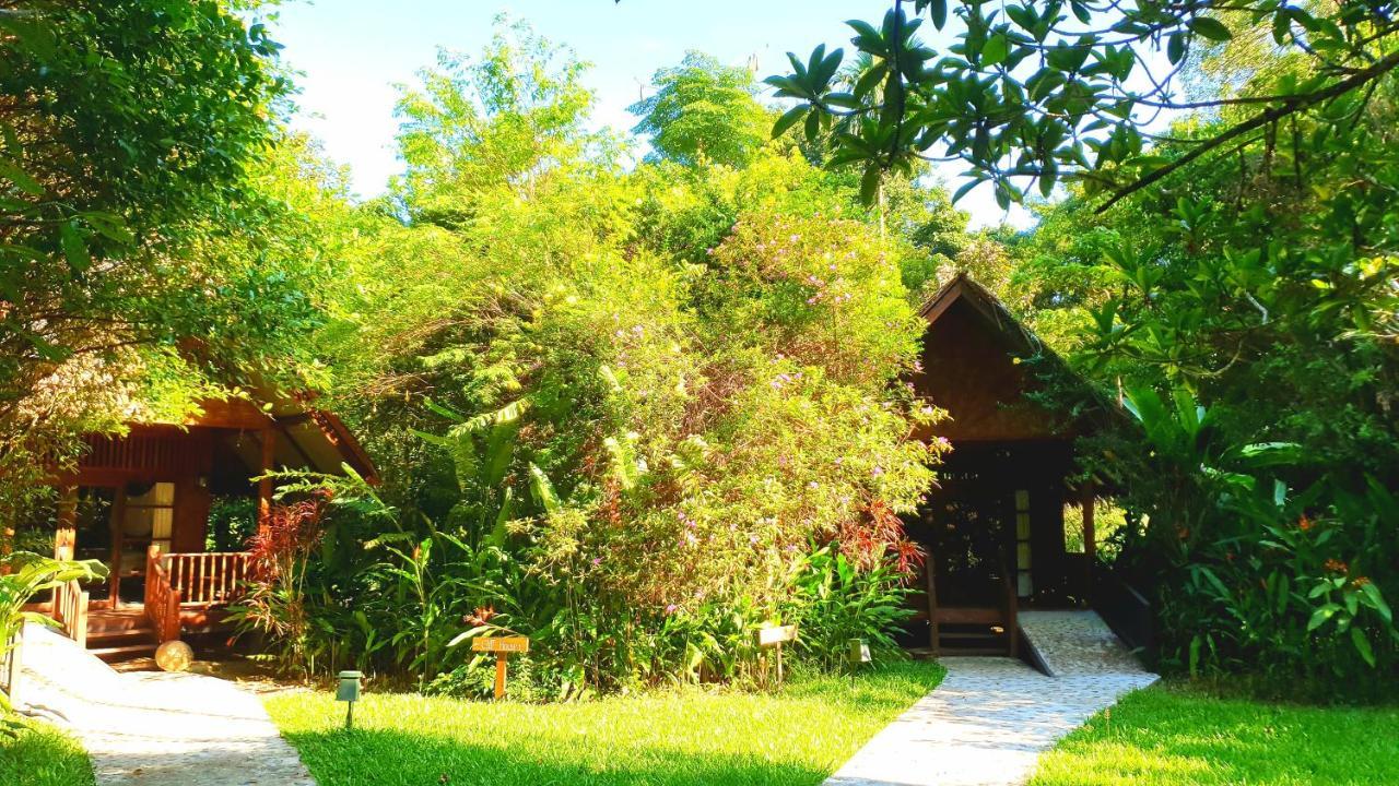Our Jungle House Hotel Khao Sok National Park Exterior foto