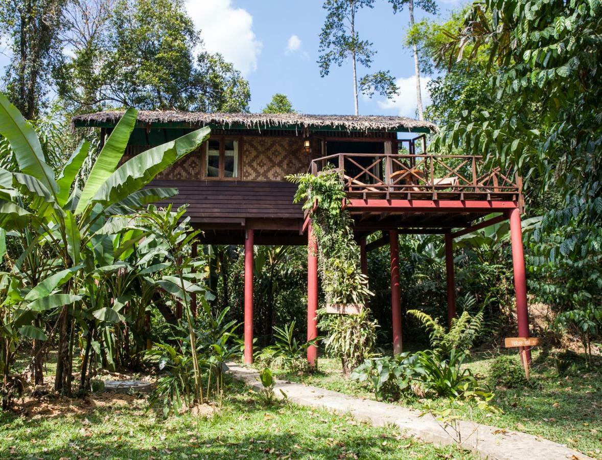 Our Jungle House Hotel Khao Sok National Park Exterior foto